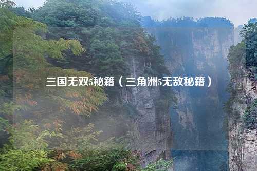 三国无双5秘籍（三角洲5无敌秘籍）