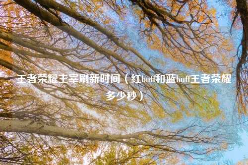 王者荣耀主宰刷新时间（红buff和蓝buff王者荣耀多少秒）