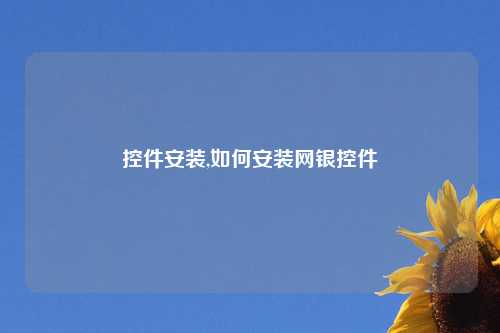 控件安装,如何安装网银控件