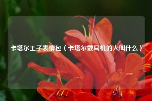 卡塔尔王子表情包（卡塔尔戴耳机的人叫什么）