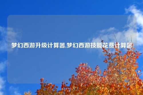 梦幻西游升级计算器,梦幻西游技能花费计算器