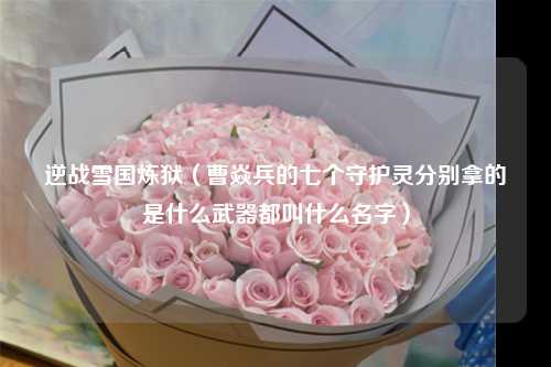逆战雪国炼狱（曹焱兵的七个守护灵分别拿的是什么武器都叫什么名字）