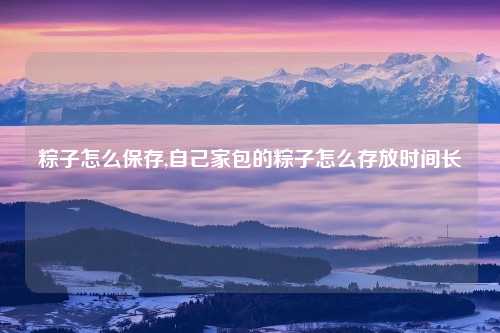 粽子怎么保存,自己家包的粽子怎么存放时间长