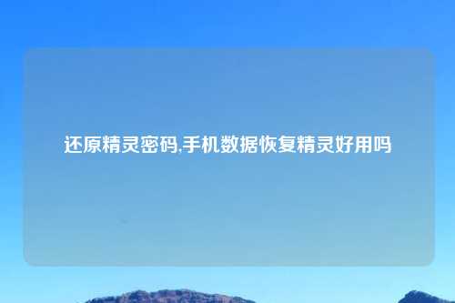 还原精灵密码,手机数据恢复精灵好用吗