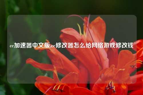 ce加速器中文版,ce修改器怎么给网络游戏修改钱