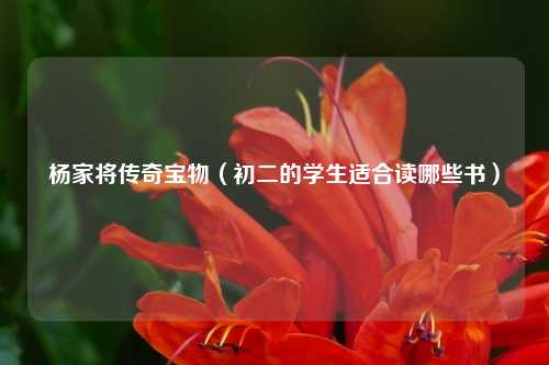 杨家将传奇宝物（初二的学生适合读哪些书）