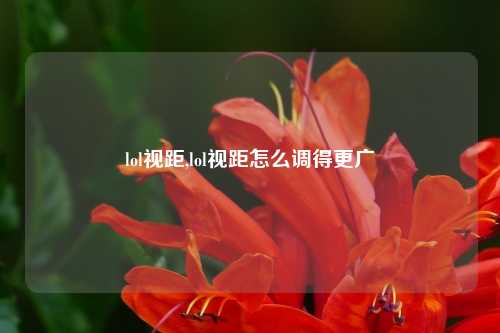 lol视距,lol视距怎么调得更广