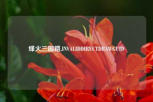烽火三国路,INVALIDDIRECTDRAWGUID