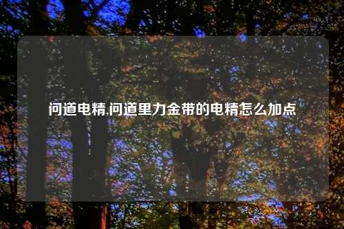 问道电精,问道里力金带的电精怎么加点