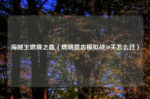 海贼王燃烧之血（燃烧意志模拟战40关怎么过）