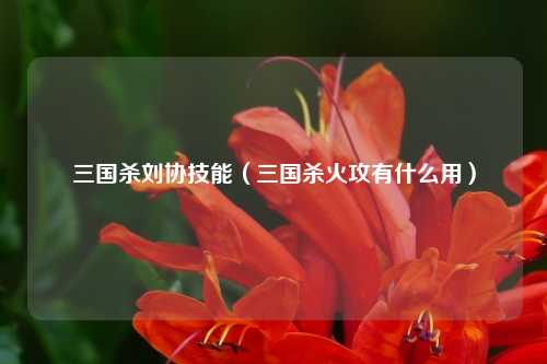 三国杀刘协技能（三国杀火攻有什么用）