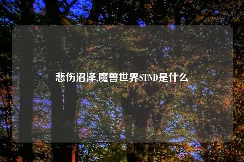 悲伤沼泽,魔兽世界STND是什么