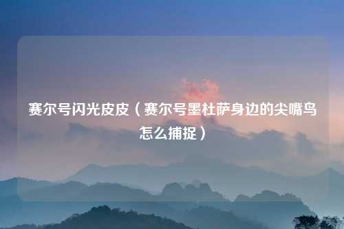 赛尔号闪光皮皮（赛尔号墨杜萨身边的尖嘴鸟怎么捕捉）