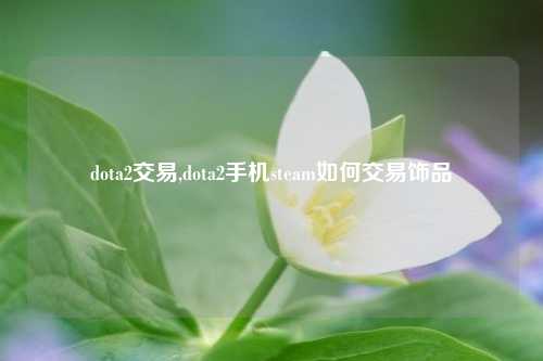dota2交易,dota2手机steam如何交易饰品