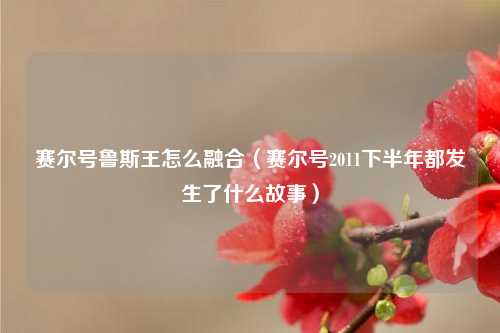 赛尔号鲁斯王怎么融合（赛尔号2011下半年都发生了什么故事）