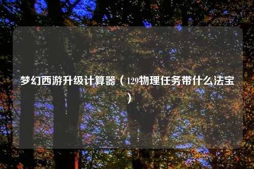 梦幻西游升级计算器（129物理任务带什么法宝）