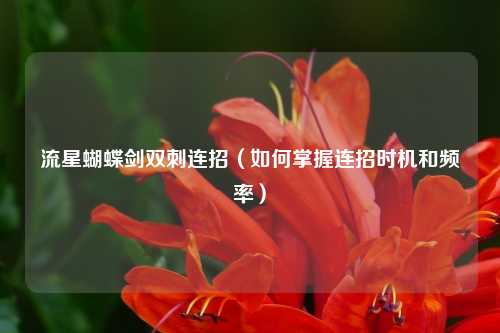 流星蝴蝶剑双刺连招（如何掌握连招时机和频率）