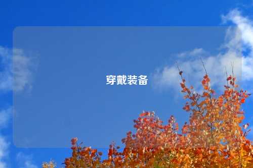 穿戴装备