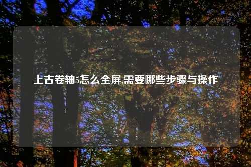 上古卷轴5怎么全屏,需要哪些步骤与操作