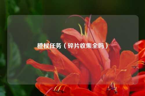 橙杖任务（碎片收集全吗）