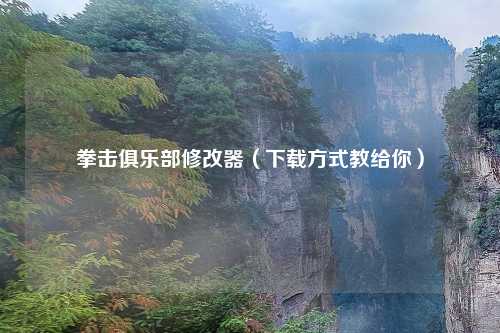 拳击俱乐部修改器（下载方式教给你）