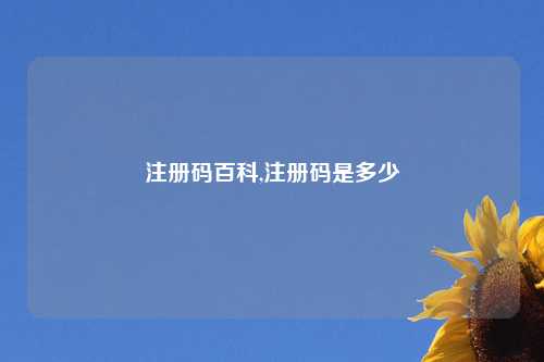 注册码百科,注册码是多少