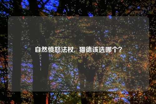自然愤怒法杖,  猫德该选哪个？