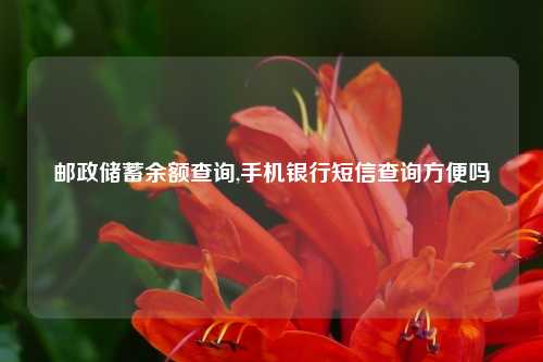 邮政储蓄余额查询,手机银行短信查询方便吗