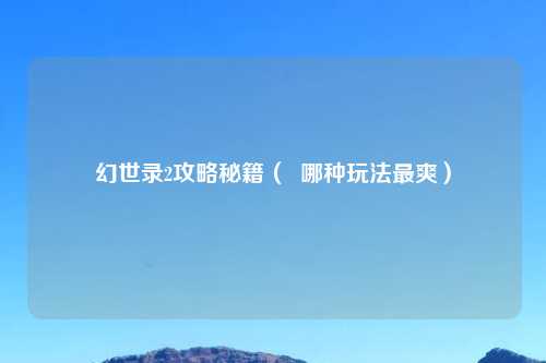 幻世录2攻略秘籍（  哪种玩法最爽）