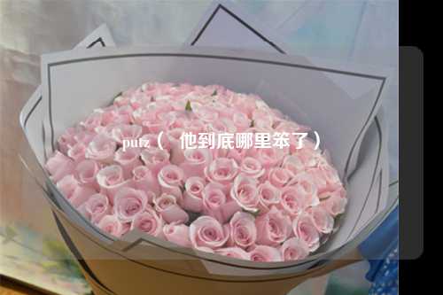 putz（  他到底哪里笨了）