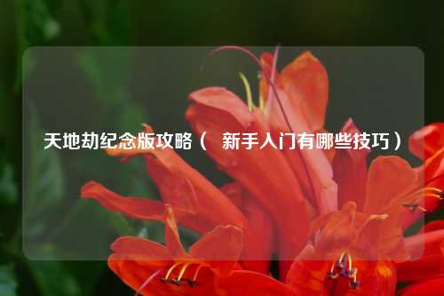 天地劫纪念版攻略（  新手入门有哪些技巧）