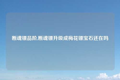断魂镖品阶,断魂镖升级成梅花镖宝石还在吗