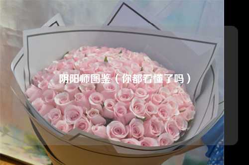 阴阳师图鉴（你都看懂了吗）