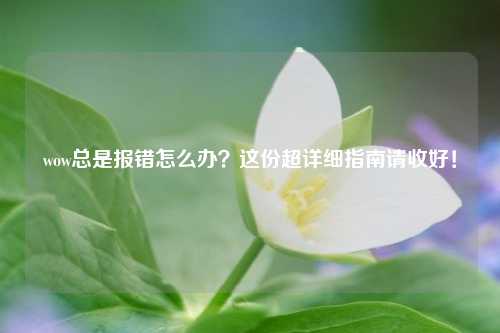 wow总是报错怎么办？这份超详细指南请收好！