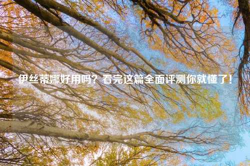 伊丝蒂娜好用吗？看完这篇全面评测你就懂了！