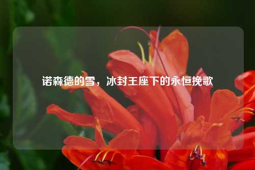 诺森德的雪，冰封王座下的永恒挽歌