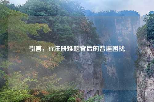 引言，YY注册难题背后的普遍困扰