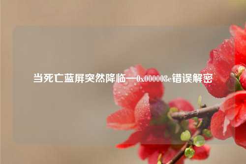 当死亡蓝屏突然降临—0x000008e错误解密