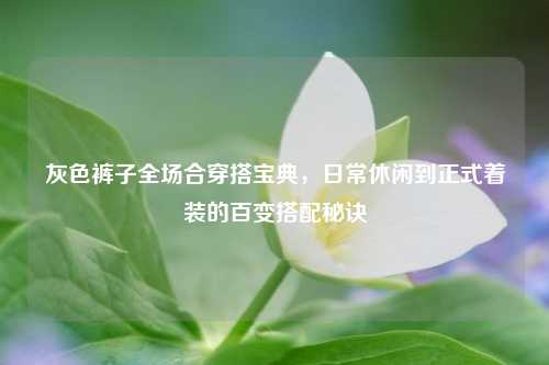 灰色裤子全场合穿搭宝典，日常休闲到正式着装的百变搭配秘诀