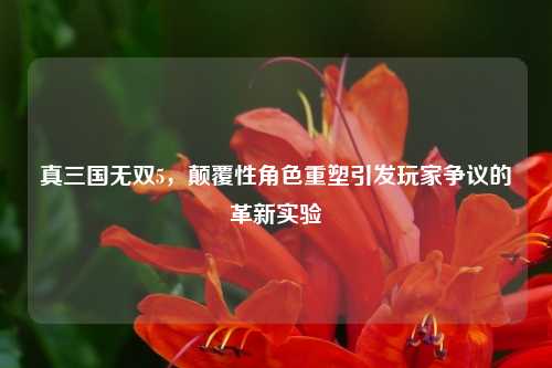 真三国无双5，颠覆性角色重塑引发玩家争议的革新实验