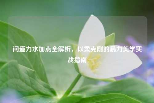 问道力水加点全解析，以柔克刚的暴力美学实战指南