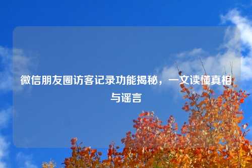 微信朋友圈访客记录功能揭秘，一文读懂真相与谣言