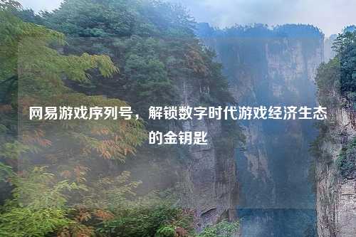 网易游戏序列号，解锁数字时代游戏经济生态的金钥匙