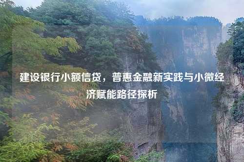 建设银行小额信贷，普惠金融新实践与小微经济赋能路径探析