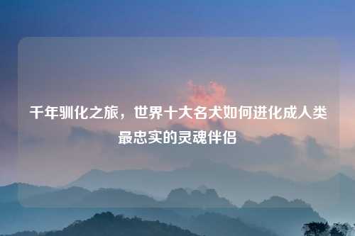 千年驯化之旅，世界十大名犬如何进化成人类最忠实的灵魂伴侣