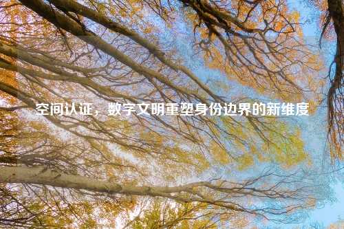 空间认证，数字文明重塑身份边界的新维度