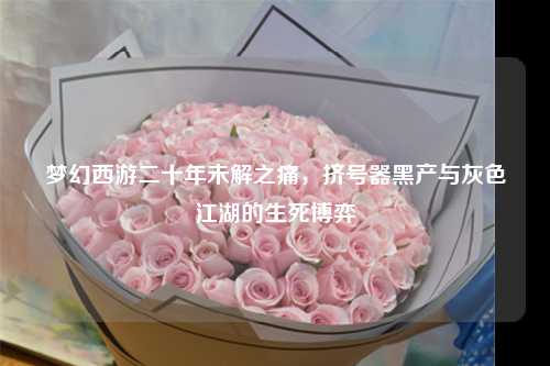 梦幻西游二十年未解之痛，挤号器黑产与灰色江湖的生死博弈