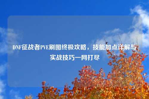 DNF征战者PVE刷图终极攻略，技能加点详解与实战技巧一网打尽