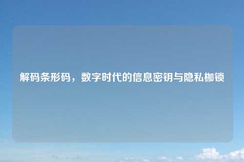 解码条形码，数字时代的信息密钥与隐私枷锁