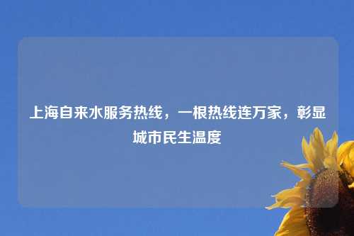 上海自来水服务热线，一根热线连万家，彰显城市民生温度